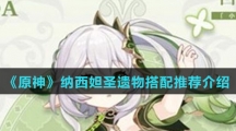 《原神》纳西妲圣遗物搭配推荐介绍