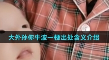 大外孙你牛波一梗出处含义介绍