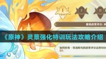 《原神》灵蕈强化特训玩法攻略介绍