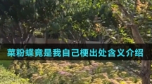 菜粉蝶竟是我自己梗出处含义介绍