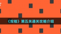 《双相》第五关通关攻略介绍