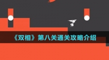 《双相》第八关通关攻略介绍