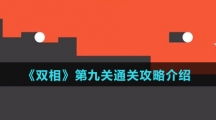 《双相》第九关通关攻略介绍