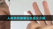 人体关机键梗出处含义介绍