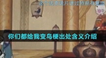 你们都给我变鸟梗出处含义介绍