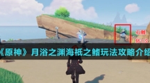《原神》月浴之渊海祇之鳍玩法攻略介绍