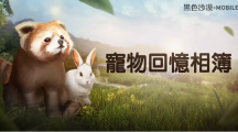 《黑色沙漠MOBILE》新增宠物回忆相簿与可爱宠物展开精采冒险