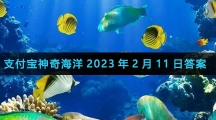 海底生物海苹果是一种