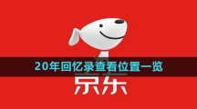 《京东》20年回忆录查看位置一览
