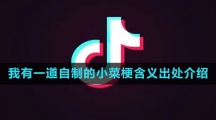 《抖音》我有一道自制的小菜梗含义出处介绍