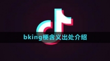 《抖音》bking梗含义出处介绍