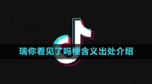 《抖音》瑞你看见了吗梗含义出处介绍