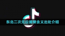《抖音》东北二次元应援梗含义出处介绍