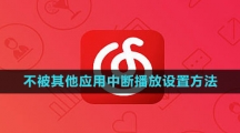 网易云音乐不被其他应用中断播放设置方法