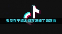 《抖音》宝贝在干嘛木啊在吗睡了吗歌曲分享介绍