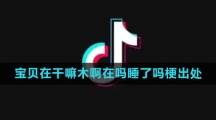 《抖音》宝贝在干嘛木啊在吗睡了吗梗含义出处介绍