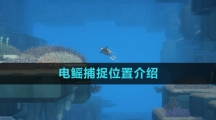 《潜水员戴夫》电鳐捕捉位置介绍