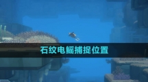 《潜水员戴夫》石纹电鳐捕捉位置