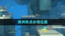 《潜水员戴夫》澳洲斑点水母位置