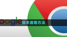 谷歌浏览器版本查看方法