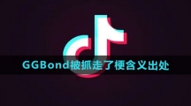 GGBond被抓走了梗含义出处介绍