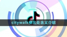《抖音》citywalk梗出处含义介绍