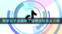 《抖音》我家公子会插秧了喔梗出处含义介绍