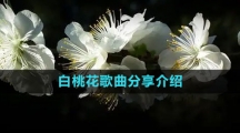 《抖音》白桃花歌曲分享介绍