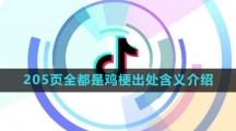 《抖音》205页全都是鸡梗出处含义介绍