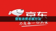 《京东》查看消费总额方法