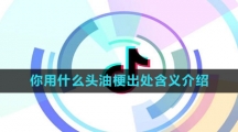 《抖音》你用什么头油梗出处含义介绍