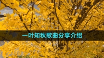 《抖音》一叶知秋歌曲分享介绍