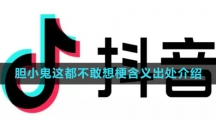 《抖音》胆小鬼这都不敢想梗含义出处介绍