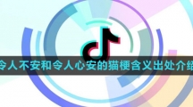 《抖音》令人不安和令人心安的猫梗含义出处介绍