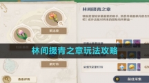 《原神》4.0林间掇青之章玩法攻略