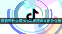 《抖音》马看到什么是run决定梗含义出处介绍