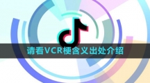 《抖音》请看VCR梗含义出处介绍