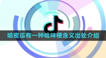 《抖音》哈密瓜有一种哈味梗含义出处介绍