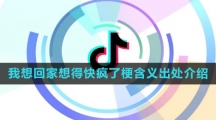 《抖音》我想回家想得快疯了梗含义出处介绍