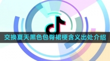 《抖音》交换夏天黑色包臀裙梗含义出处介绍