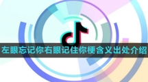 《抖音》左眼忘记你右眼记住你梗含义出处介绍