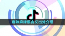 《抖音》麻辣麻辣梗含义出处介绍