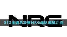 《英雄联盟》2023年S13全球总决赛NRG战队成员介绍
