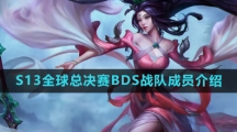 《英雄联盟》2023年S13全球总决赛BDS战队成员介绍