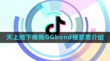 《抖音》天上地下唯我GGbond梗意思介绍