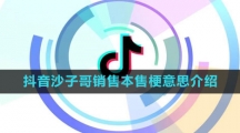 《抖音》沙子哥销售本售梗意思介绍