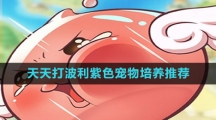 《天天打波利》紫色宠物培养推荐