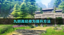 《九阴真经》修为提升方法