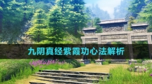《九阴真经》紫霞功心法解析