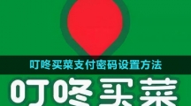 《叮咚买菜》支付密码设置方法